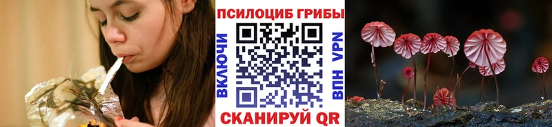 Галлюциногенные грибы MAGIC MUSHROOMS  Алексеевка 