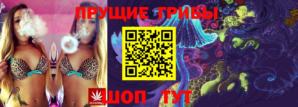 Алексеевка  Псилоцибиновые грибы MAGIC MUSHROOMS  Галлюциногенные грибы Psilocybine cubensis  Вход с VPN 