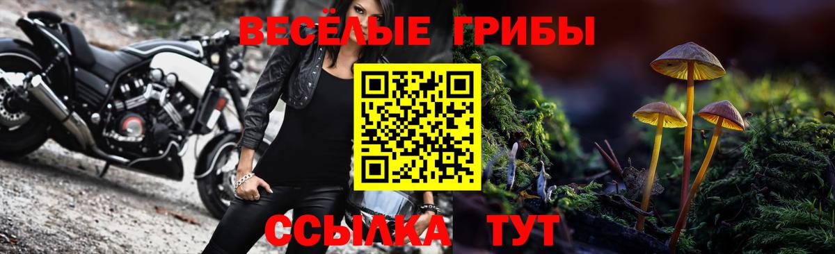 Галлюциногенные грибы мухоморы Алексеевка
